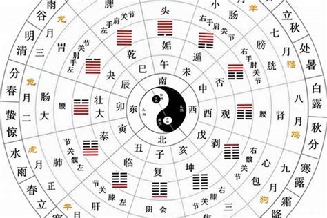 天干地支合沖|何為十天干與十二地支的「合」、「沖」、「刑」、「。